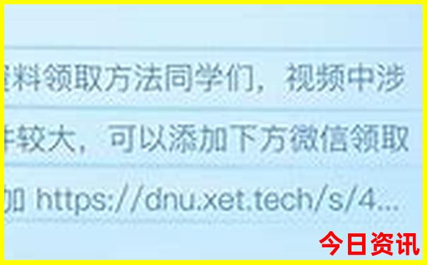 翟潇闻个人资料图片